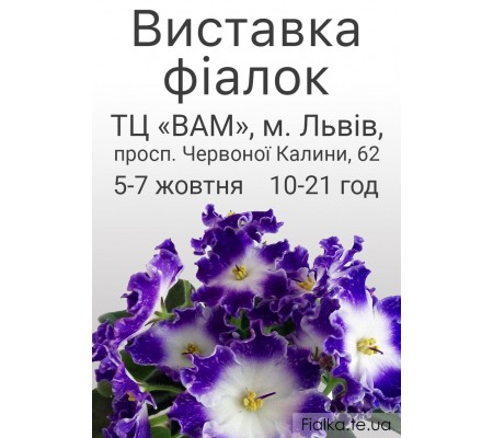 Выставка фиалок во Львове 5-7 октября 2018 Выставка фиалок во Львове 5-7 октября 2018